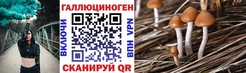 Псилоцибиновые грибы Magic Shrooms  наркота  Анадырь 